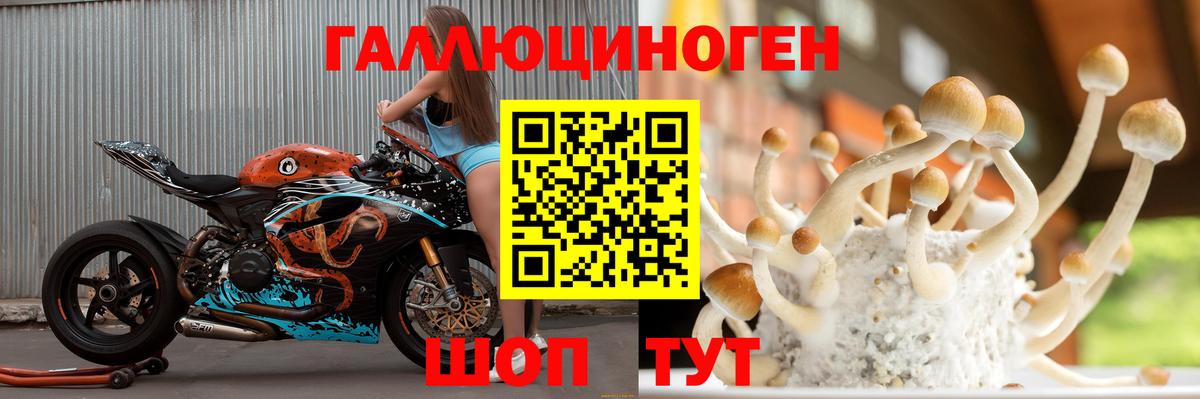 Сосновый Бор  купить  сайты  Псилоцибиновые грибы прущие грибы  Вход с VPN  Галлюциногенные грибы мухоморы 
